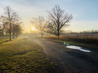 Fuhneaue im Morgengrauen Fuhneaue im Morgengrauen